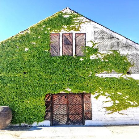 Casa Bouchon Hotel Boutique San Javier  Zewnętrze zdjęcie